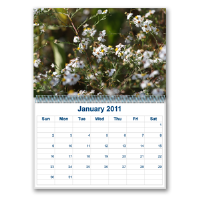 Calendars -Desk Calendars -Desk
