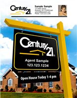 Century 21 Flyer